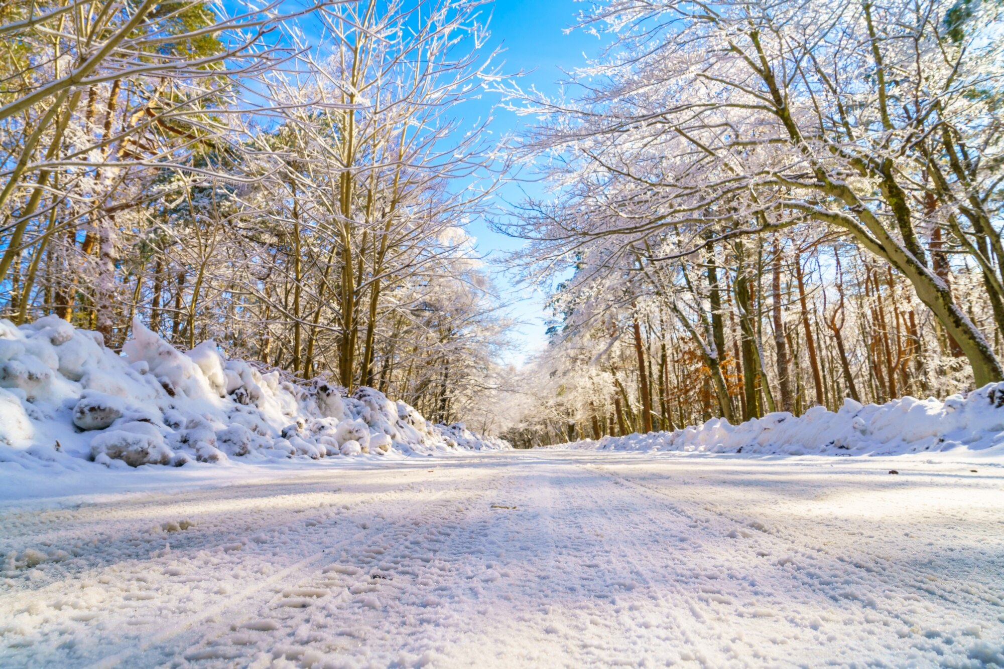 Paisaje de invierno